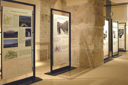 Стенд для картин на Т-образных опорах